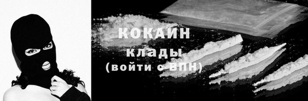 дмт Богданович