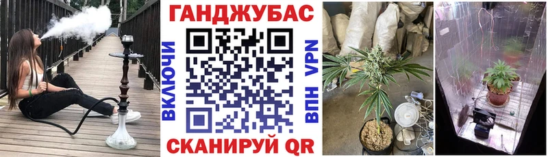 хочу   Туапсе  Конопля семена 